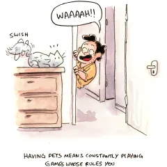 Right? I feel like there are rules but none of the cats care to elaborate. Not fair.