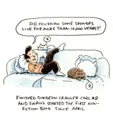 The cats yearn for non-fiction
