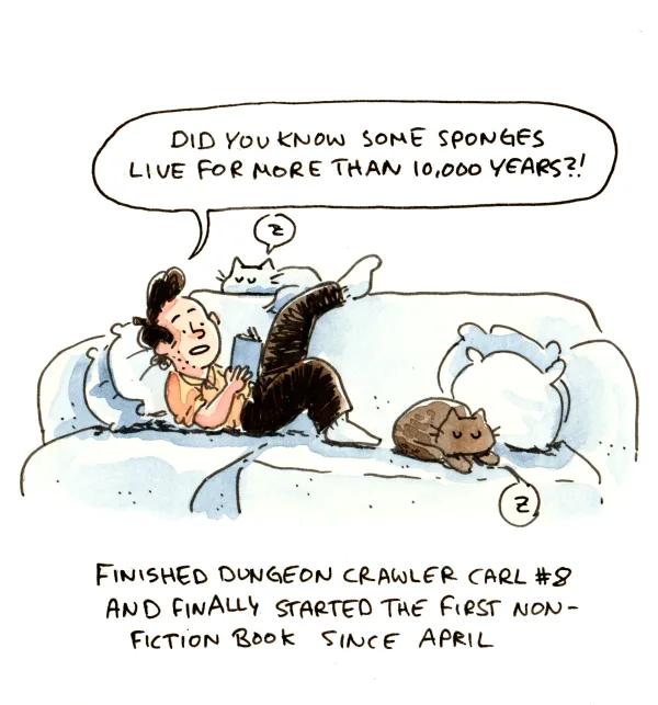 The cats yearn for non-fiction