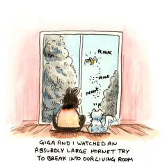 I think it’s important to show an interest in your children’s hobbies. Gigabyte has recently developed a fascination with large insects, and I cherish the quality time we spend together watching them.